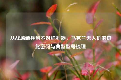 从战场新兵到不对称利器,乌克兰无人机的进化密码与典型型号梳理