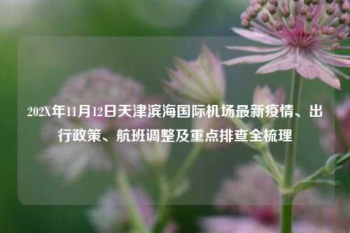 202X年11月12日天津滨海国际机场最新疫情、出行政策、航班调整及重点排查全梳理