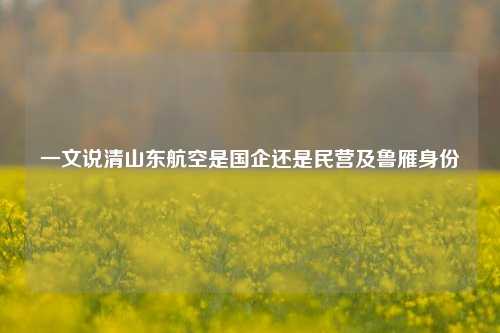一文说清山东航空是国企还是民营及鲁雁身份
