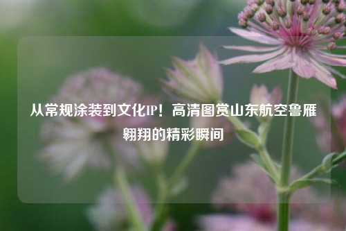从常规涂装到文化IP！高清图赏山东航空鲁雁翱翔的精彩瞬间