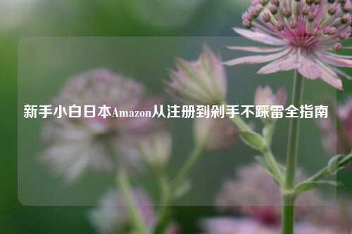 新手小白日本Amazon从注册到剁手不踩雷全指南