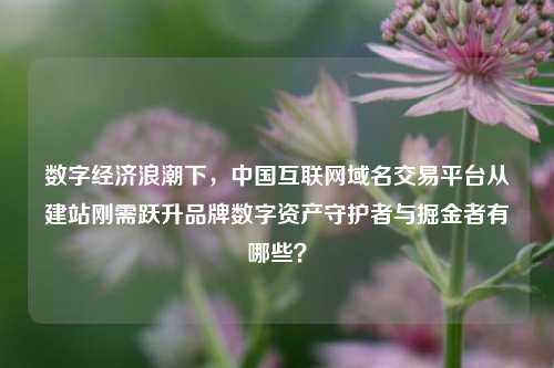 数字经济浪潮下，中国互联网域名交易平台从建站刚需跃升品牌数字资产守护者与掘金者有哪些？