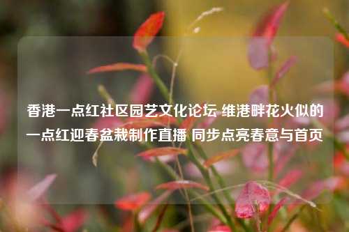 香港一点红社区园艺文化论坛 维港畔花火似的一点红迎春盆栽制作直播 同步点亮春意与首页