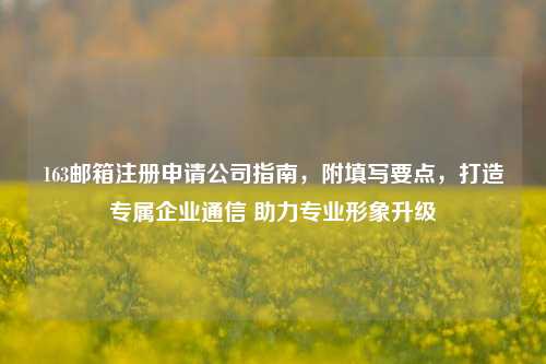 163邮箱注册申请公司指南，附填写要点，打造专属企业通信 助力专业形象升级