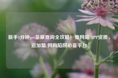 新手1分钟get备案查询全攻略！查网站/APP资质，避加盟/网购陷阱必备平台