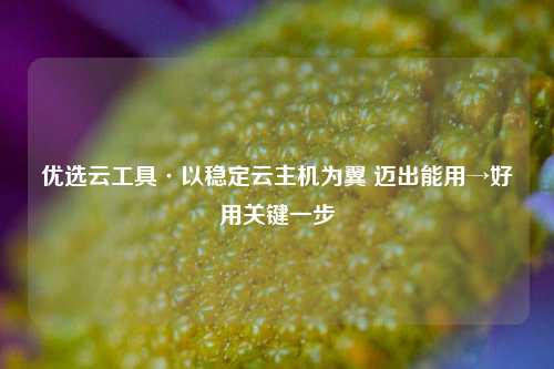 优选云工具·以稳定云主机为翼 迈出能用→好用关键一步