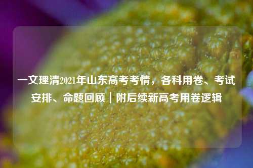 一文理清2021年山东高考考情,各科用卷、考试安排、命题回顾|附后续新高考用卷逻辑