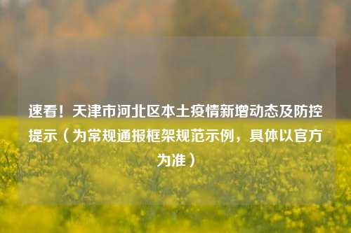 速看！天津市河北区本土疫情新增动态及防控提示（为常规通报框架规范示例，具体以官方为准）