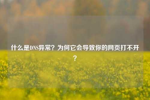 什么是DNS异常？为何它会导致你的网页打不开？