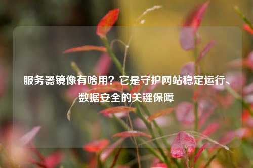 服务器镜像有啥用?它是守护网站稳定运行、数据安全的关键保障