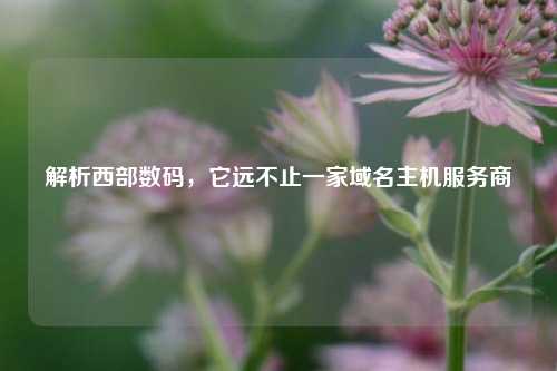 解析西部数码，它远不止一家域名主机服务商