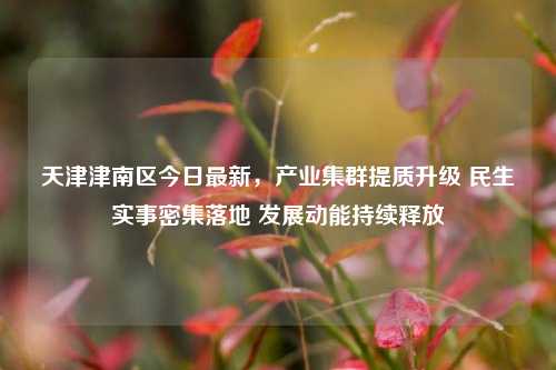 天津津南区今日最新，产业集群提质升级 民生实事密集落地 发展动能持续释放