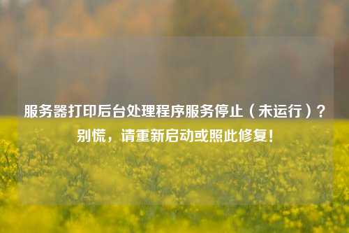 服务器打印后台处理程序服务停止(未运行)?别慌,请重新启动或照此修复!
