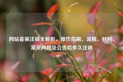 网站备案注销全解析,操作指南、流程、材料、常见问题及公告后多久注销