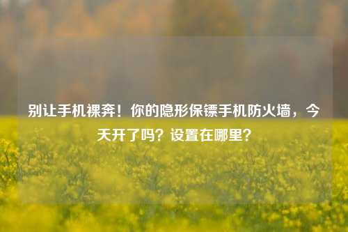 别让手机裸奔!你的隐形保镖手机防火墙,今天开了吗?设置在哪里?
