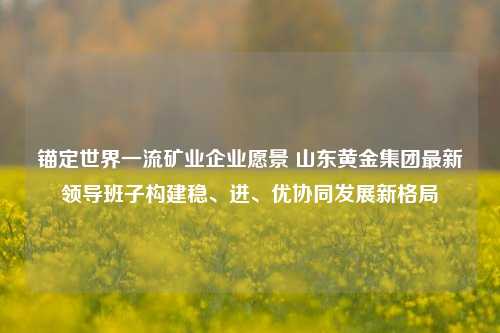 锚定世界一流矿业企业愿景 山东黄金集团最新领导班子构建稳、进、优协同发展新格局