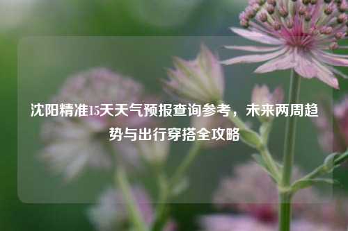 沈阳精准15天天气预报查询参考,未来两周趋势与出行穿搭全攻略