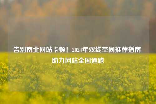 告别南北网站卡顿!2024年双线空间推荐指南 助力网站全国通跑