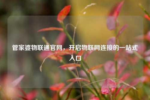管家婆物联通官网，开启物联网连接的一站式入口