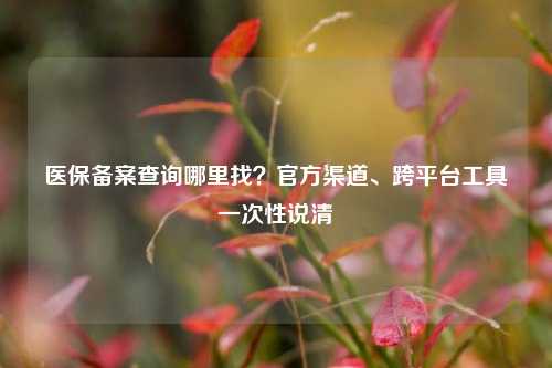 医保备案查询哪里找?官方渠道、跨平台工具一次性说清