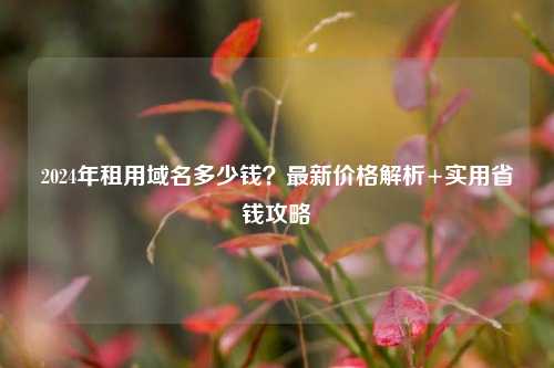 2024年租用域名多少钱?最新价格解析+实用省钱攻略