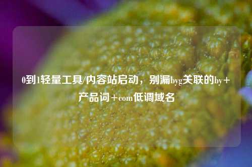 0到1轻量工具/内容站启动,别漏byg关联的by+产品词+com低调域名