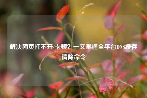 解决网页打不开/卡顿？一文掌握全平台DNS缓存清除命令