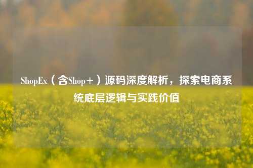 ShopEx(含Shop+)源码深度解析,探索电商系统底层逻辑与实践价值