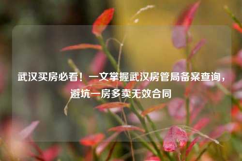 武汉买房必看!一文掌握武汉房管局备案查询,避坑一房多卖无效合同