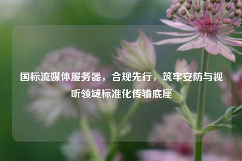 国标流媒体服务器,合规先行,筑牢安防与视听领域标准化传输底座