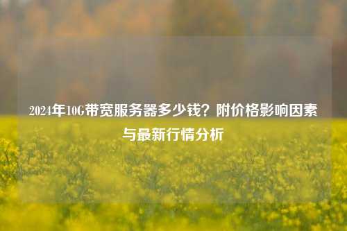2024年10G带宽服务器多少钱?附价格影响因素与最新行情分析
