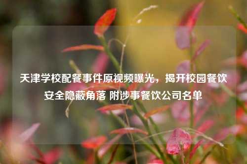 天津学校配餐事件原视频曝光,揭开校园餐饮安全隐蔽角落 附涉事餐饮公司名单