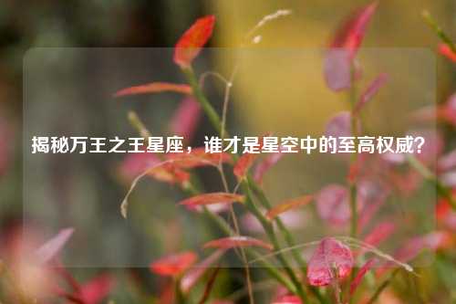 揭秘万王之王星座,谁才是星空中的至高权威?