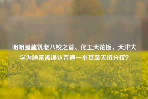 明明是建筑老八校之首、化工天花板,天津大学为啥常被误认普通一本甚至天坑分校?