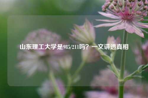 山东理工大学是985/211吗？一文讲透真相