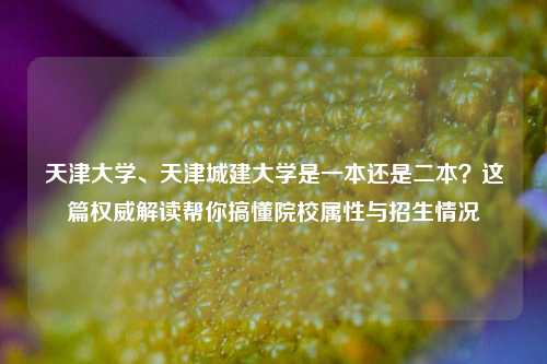 天津大学、天津城建大学是一本还是二本?这篇权威解读帮你搞懂院校属性与招生情况