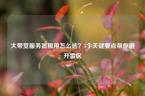 大带宽服务器租用怎么选？5个关键要点帮你避开雷区