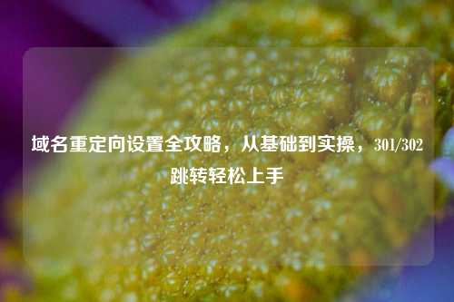 域名重定向设置全攻略,从基础到实操,301/302跳转轻松上手