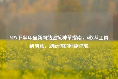 202X下半年最新网站避坑种草指南,6款从工具到创意,刷新你的网络体验