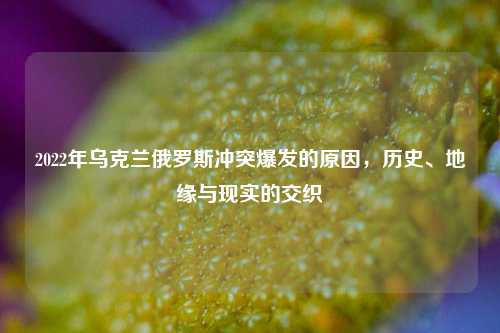 2022年乌克兰俄罗斯冲突爆发的原因，历史、地缘与现实的交织