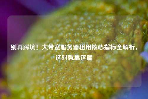别再踩坑！大带宽服务器租用核心指标全解析，选对就靠这篇