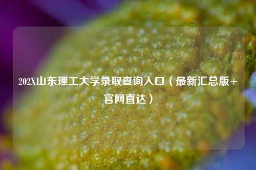 202X山东理工大学录取查询入口（最新汇总版+官网直达）
