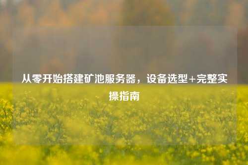 从零开始搭建矿池服务器,设备选型+完整实操指南