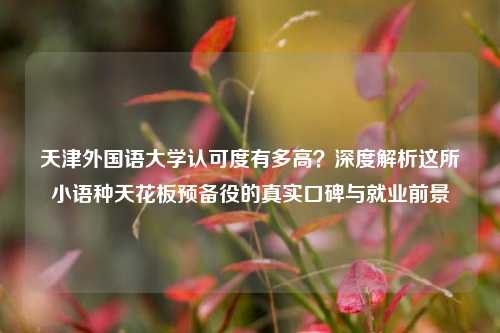 天津外国语大学认可度有多高？深度解析这所小语种天花板预备役的真实口碑与就业前景