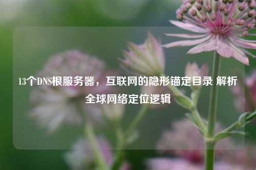 13个DNS根服务器，互联网的隐形锚定目录 解析全球网络定位逻辑
