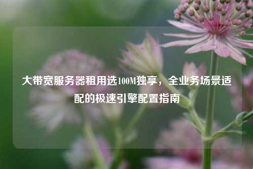 大带宽服务器租用选100M独享，全业务场景适配的极速引擎配置指南