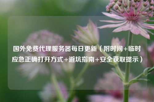 国外免费代理服务器每日更新(附时间+临时应急正确打开方式+避坑指南+安全获取提示)