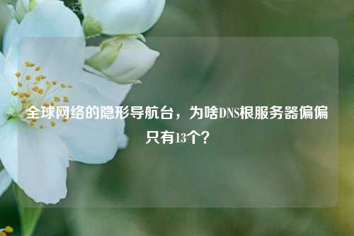 全球网络的隐形导航台，为啥DNS根服务器偏偏只有13个？