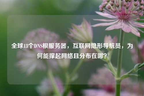 全球13个DNS根服务器,互联网隐形导航员,为何能撑起网络且分布在哪?