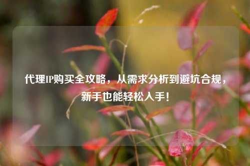 代理IP购买全攻略，从需求分析到避坑合规，新手也能轻松入手！